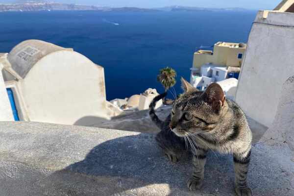 SantorinChat